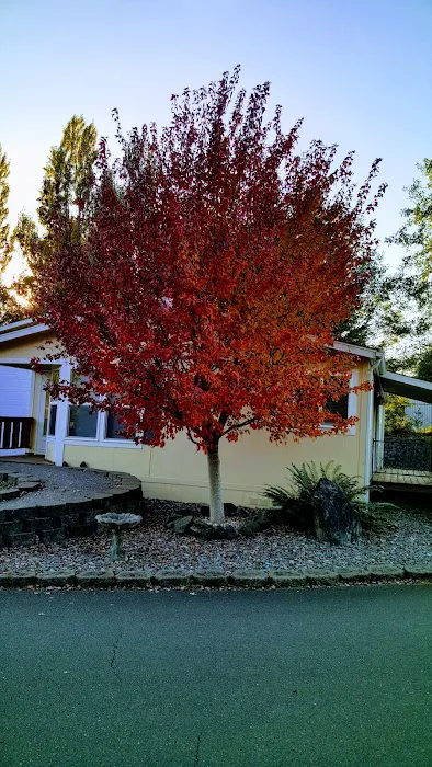 River Bend Mobile Resort Picture 10