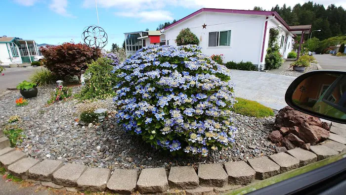 River Bend Mobile Resort Picture 7