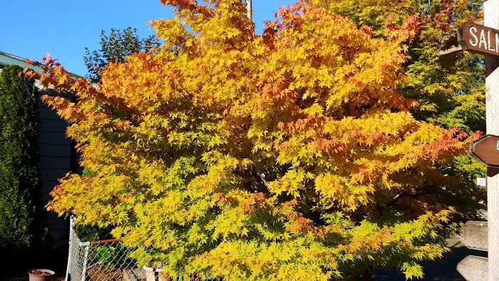 River Bend Mobile Resort Picture 8