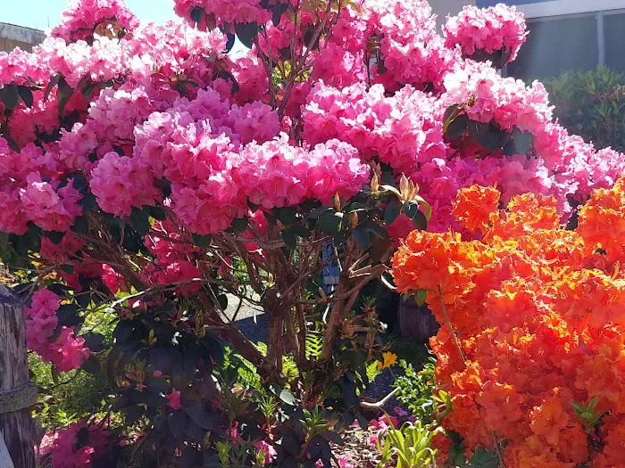 River Bend Mobile Resort Picture 9