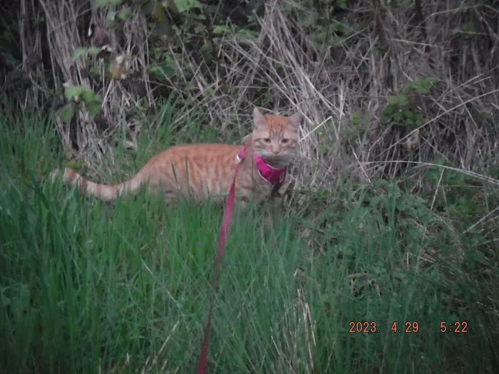 Coho RV & Marina Picture 7