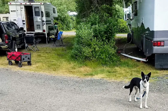 Oregon Coast RV Resort Picture 4