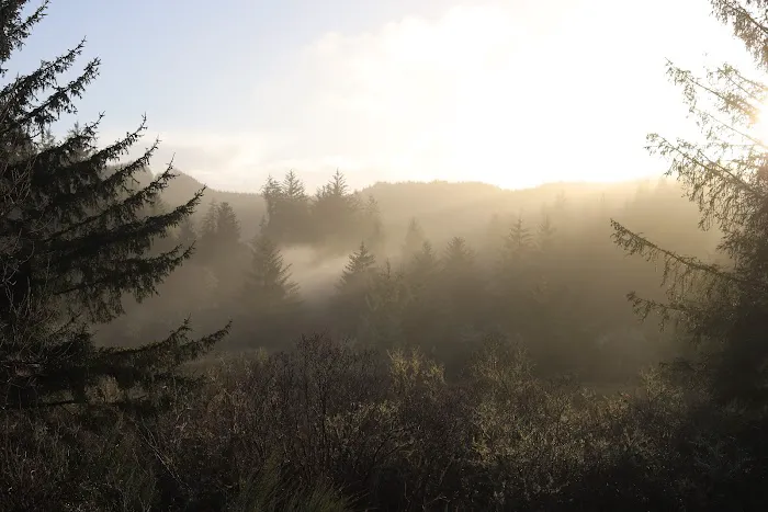 Pacific Sands RV Park Picture 4