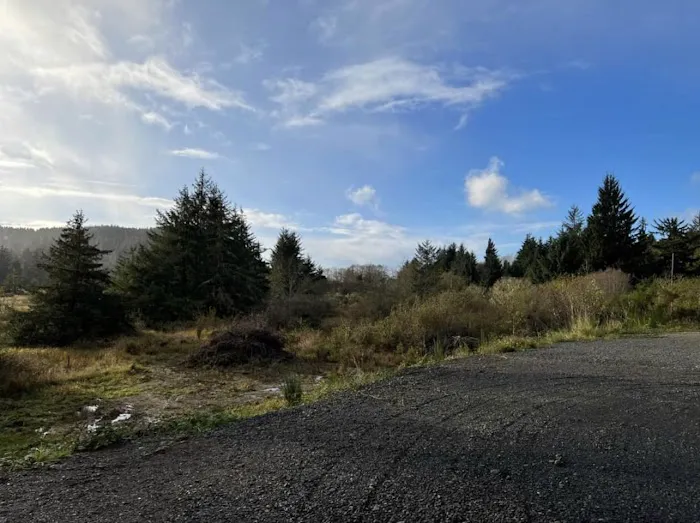 Pacific Sands RV Park Picture 10