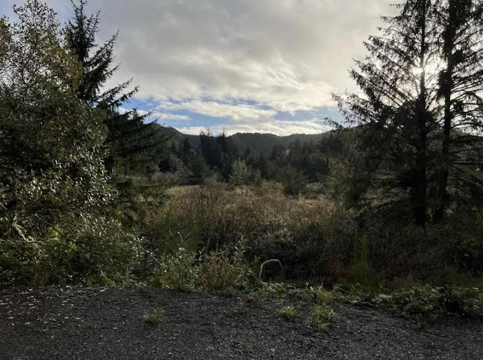 Pacific Sands RV Park Picture 2