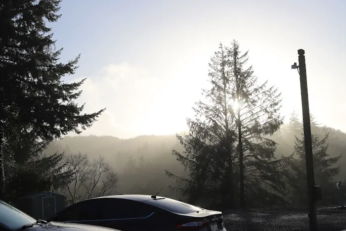 Pacific Sands RV Park Picture 1