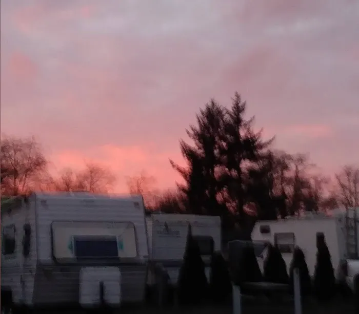 Salmon harbor Picture 4