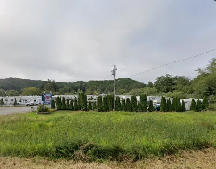 Salmon harbor Picture 3