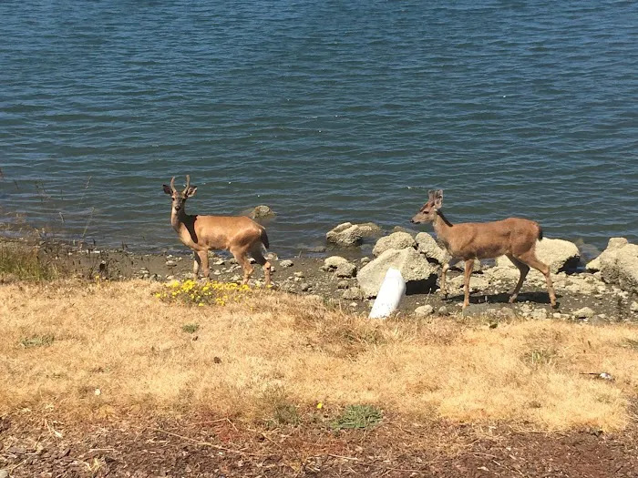 Fisherman's RV Park Picture 8