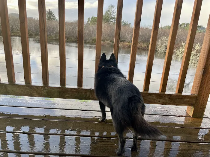 North Lake RV Resort & Marina Picture 10