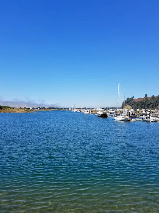 Windy Cove A RV Park and Campground Picture 6