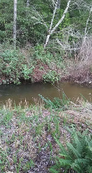 Eel Creek RV Park Picture 2