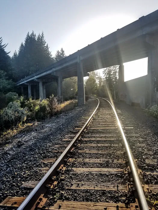 Eel Creek RV Park Picture 7