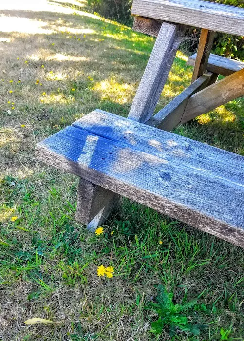 Eel Creek RV Park Picture 8