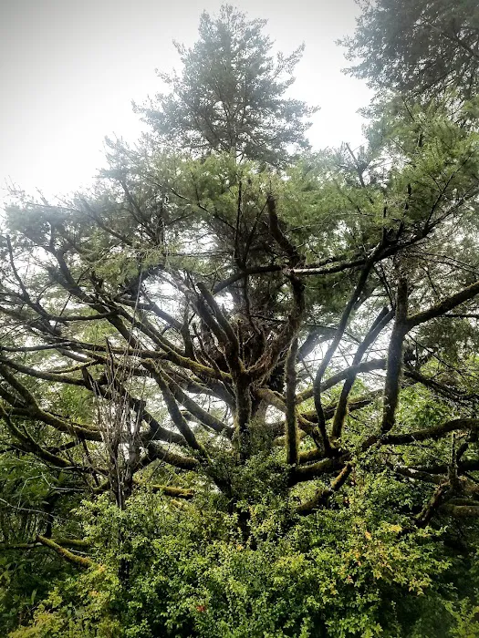 Eel Creek RV Park Picture 10