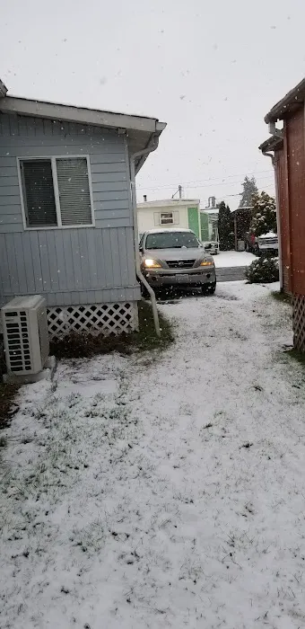 Midway Gardens Mobile Park Picture 1