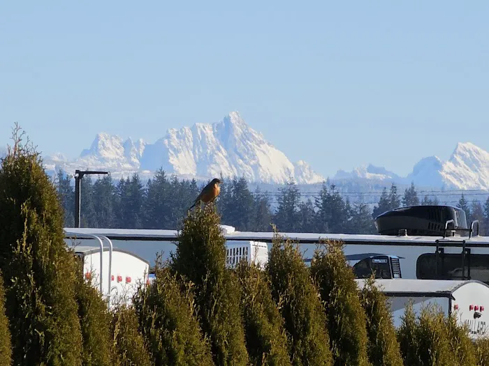 Emerald Springs RV Park Picture 2