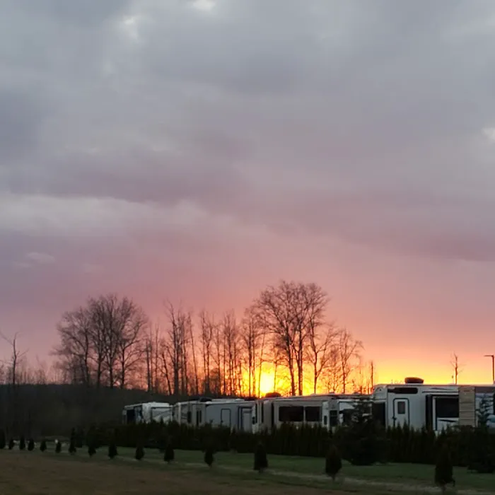 Emerald Springs RV Park Picture 9