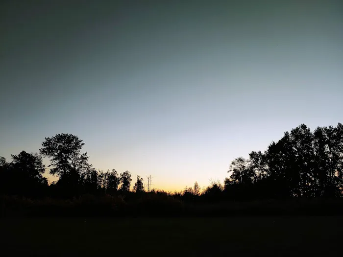 Emerald Springs RV Park Picture 6