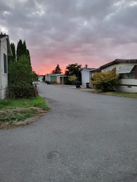 Crystal Tree Village Picture 8