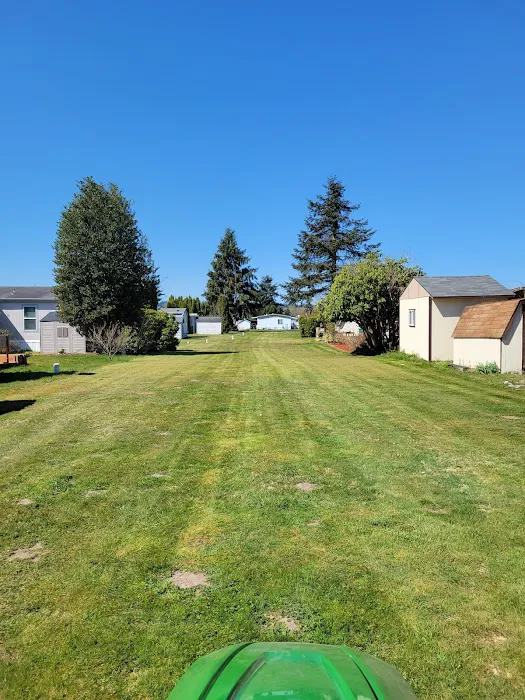 Crystal Tree Village Picture 3