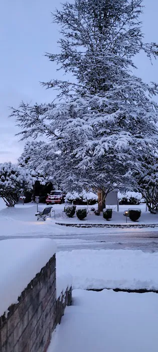 Crystal Tree Village Picture 6