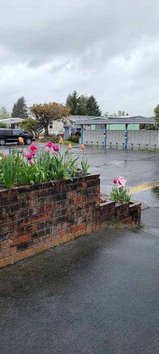 Crystal Tree Village Picture 5