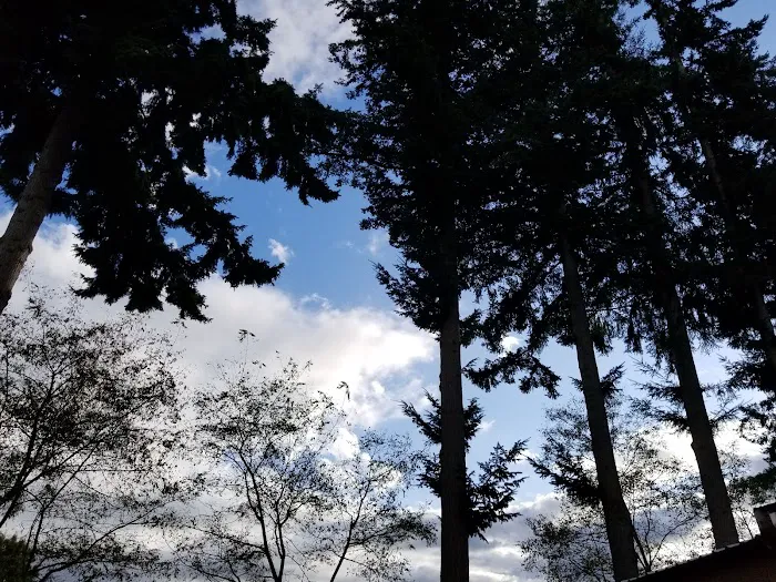 Hidden Glen Picture 1