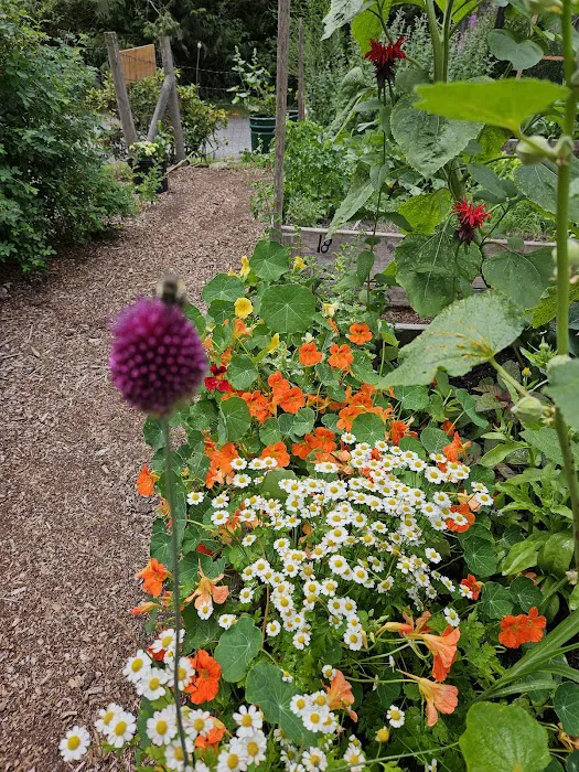 Port Susan Camping Club Picture 6