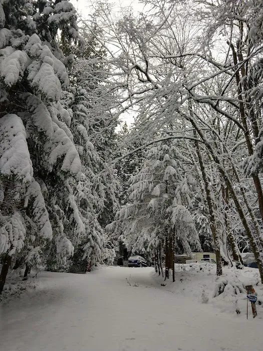 Port Susan Camping Club Picture 1