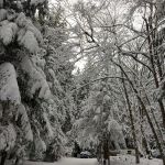 Port Susan Camping Club