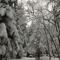 Port Susan Camping Club ico