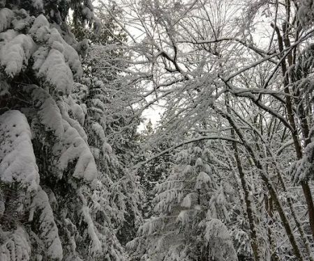 Port Susan Camping Club