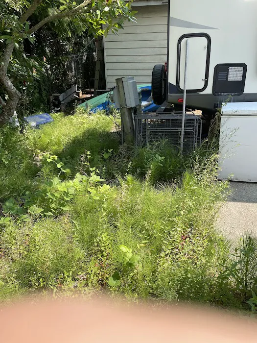 Cedar Grove Shores RV Park Picture 3