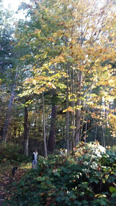 Lake Goodwin Resort Picture 7