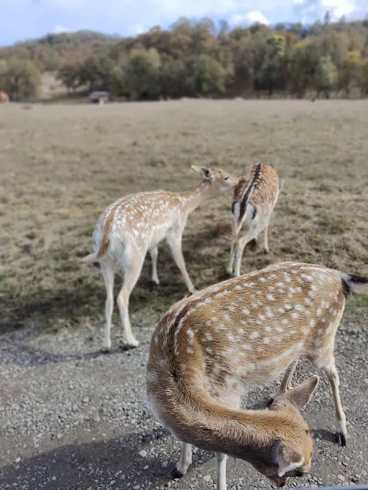 Rosewood Park Place Picture 3