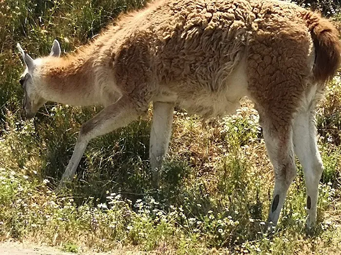 Rosewood Park Place Picture 7