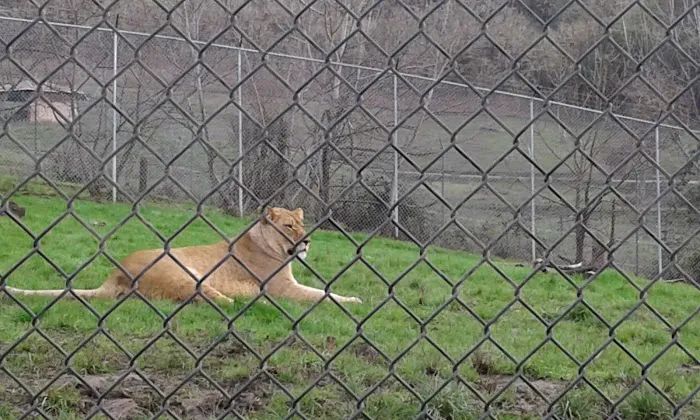 Rosewood Park Place Picture 1