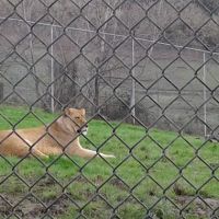 Rosewood Park Place ico