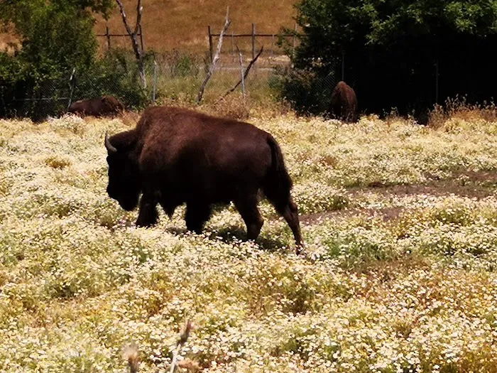 Rosewood Park Place Picture 10