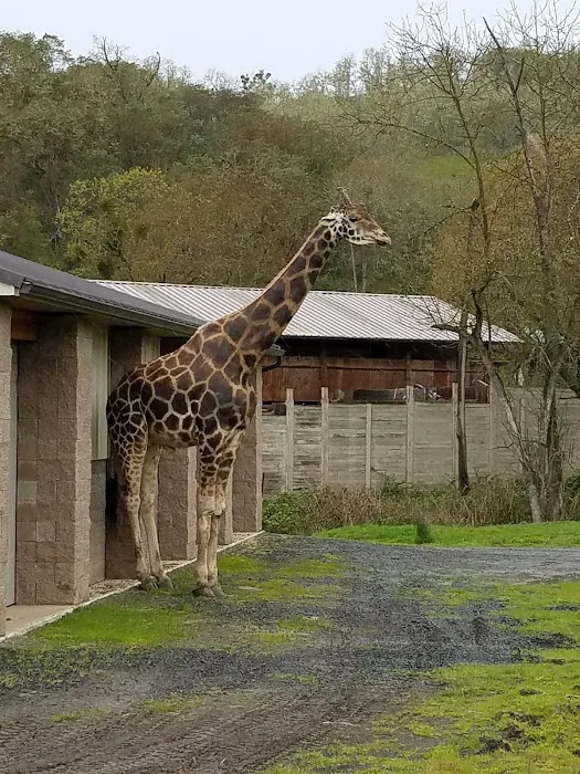 Rosewood Park Place Picture 4