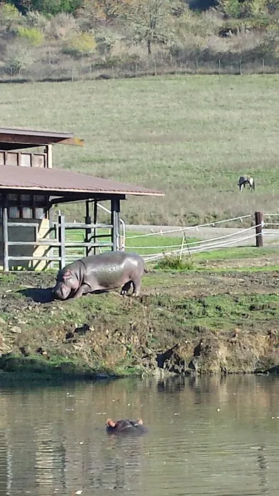 Rosewood Park Place Picture 5