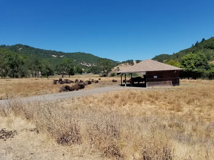 Rosewood Park Place Picture 9