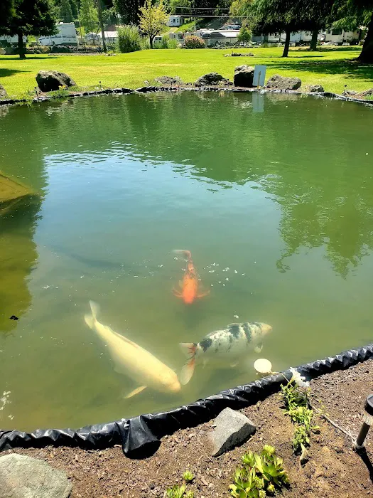 On the River Golf & RV Resort Picture 10