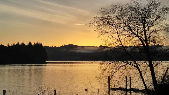 Lake's Edge RV Park & Marina Picture 9