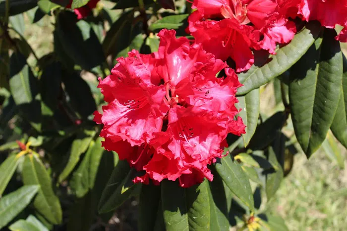 Darlings Marina & RV Resort Picture 1