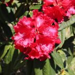 Darlings Marina & RV Resort