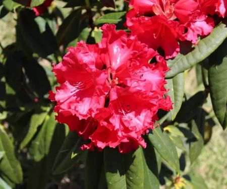 Darlings Marina & RV Resort