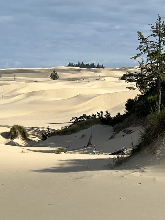 Darlings Marina & RV Resort Picture 10