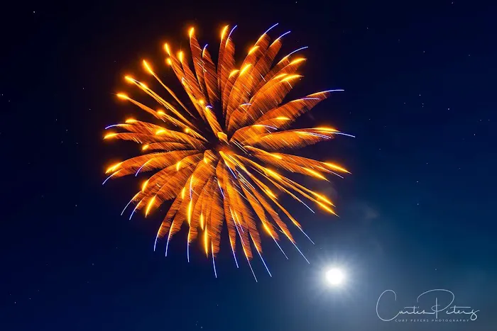 Darlings Marina & RV Resort Picture 3